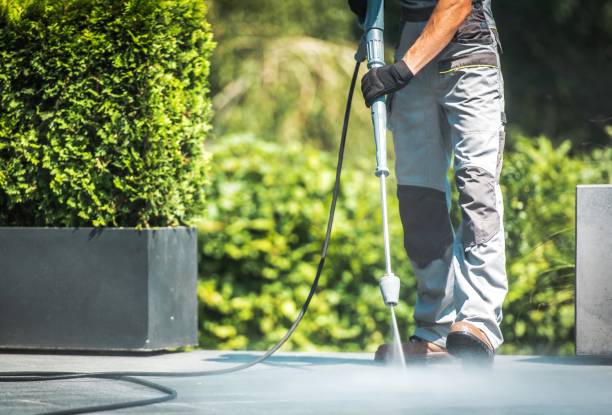 Professional  Pressure Washing Services in Pine Hills, CA